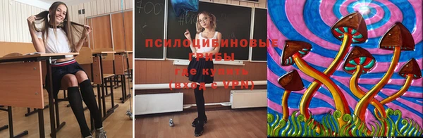 ПСИЛОЦИБИНОВЫЕ ГРИБЫ Алексин