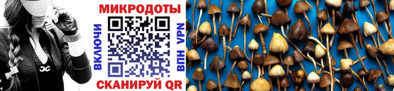 Псилоцибиновые грибы мухоморы  Узловая 